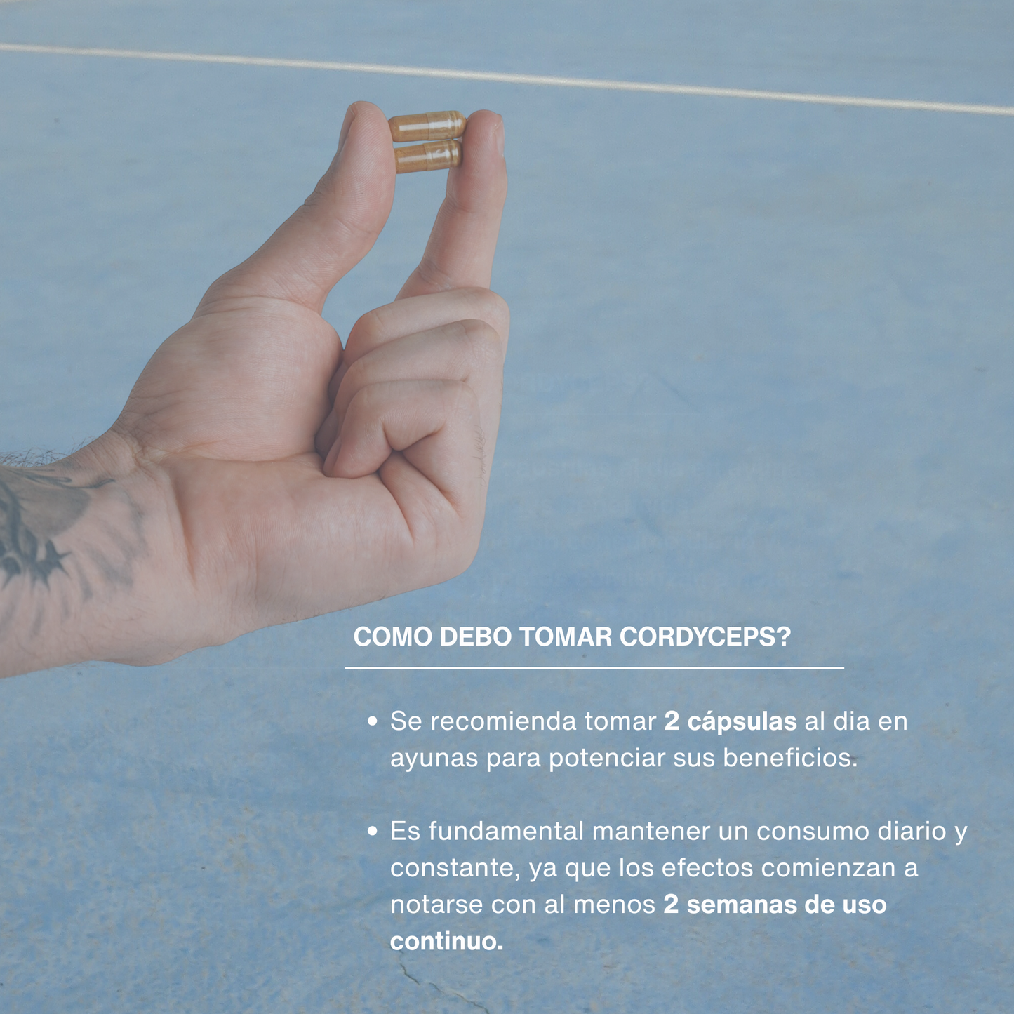 Cardiovascular Cordyceps